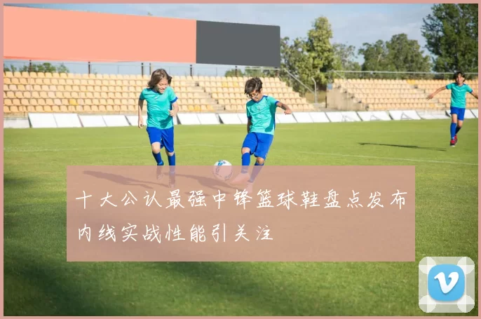 十大公认最强中锋篮球鞋盘点发布内线实战性能引关注