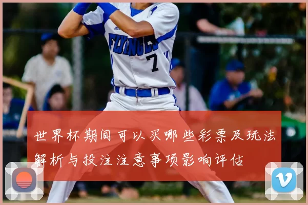 世界杯期间可以买哪些彩票及玩法解析与投注注意事项影响评估