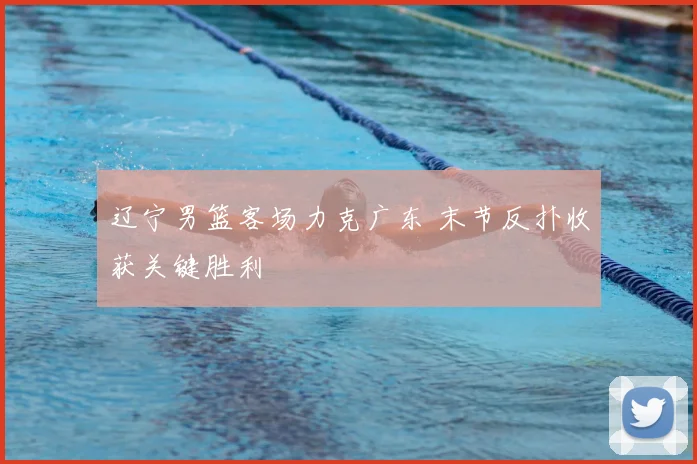 辽宁男篮客场力克广东 末节反扑收获关键胜利