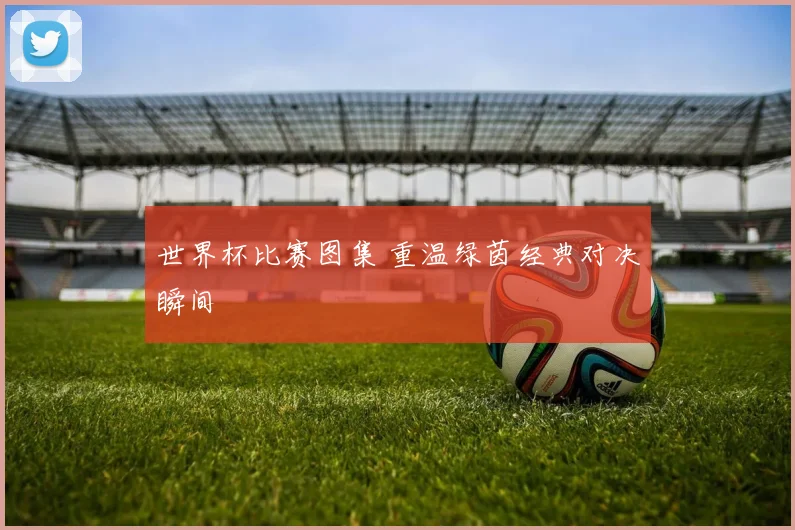 世界杯比赛图集 重温绿茵经典对决瞬间